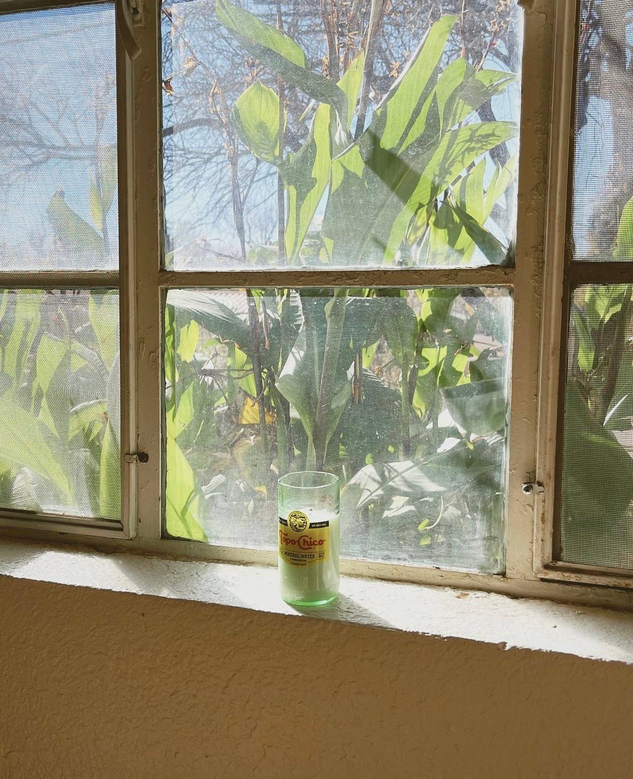 Mint Mojito Topo Chico Soy Candle / Summer Scent