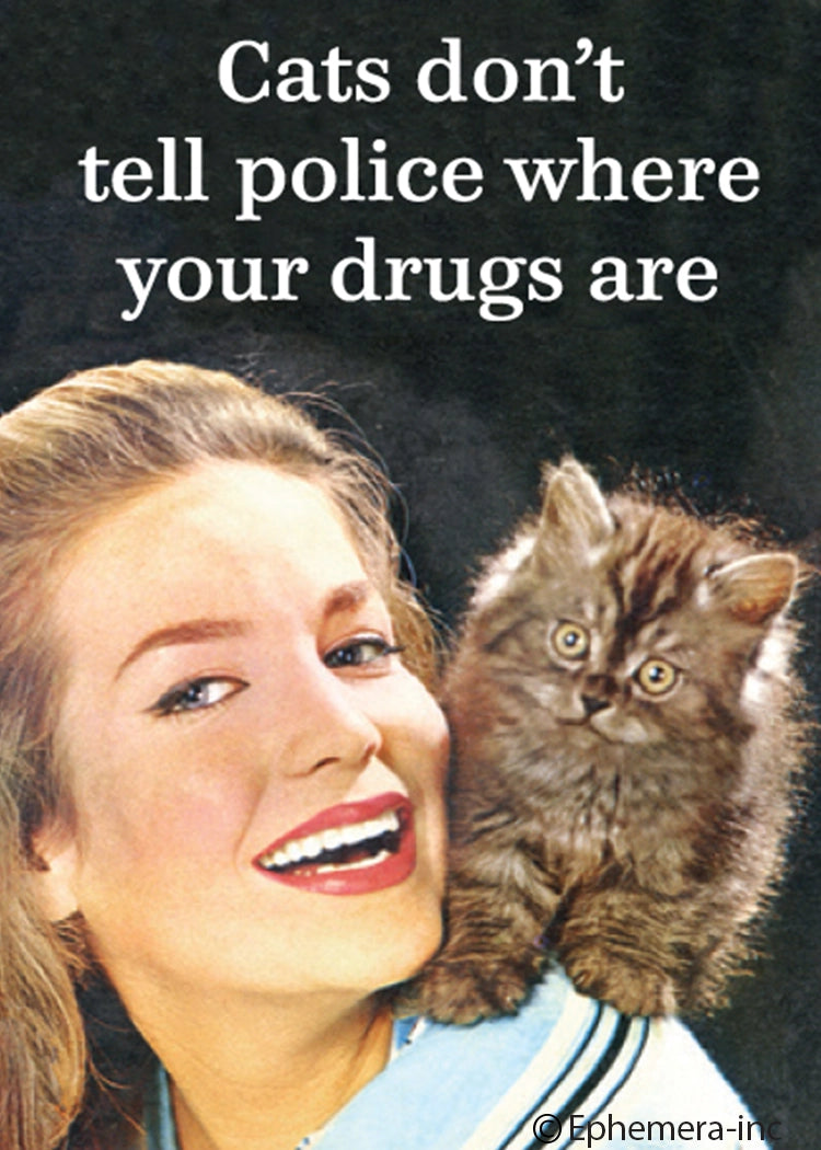 Magnet-Cats Don't Tell Police Where Your Drugs Are