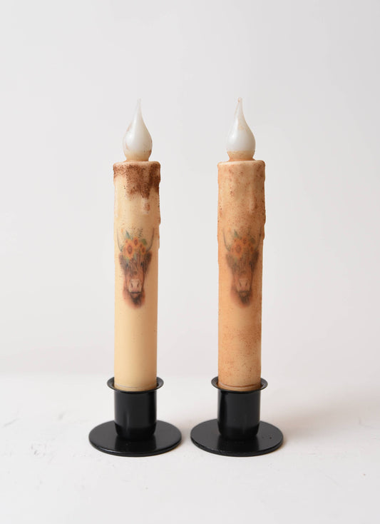 Highlander Cow Flowers + Base