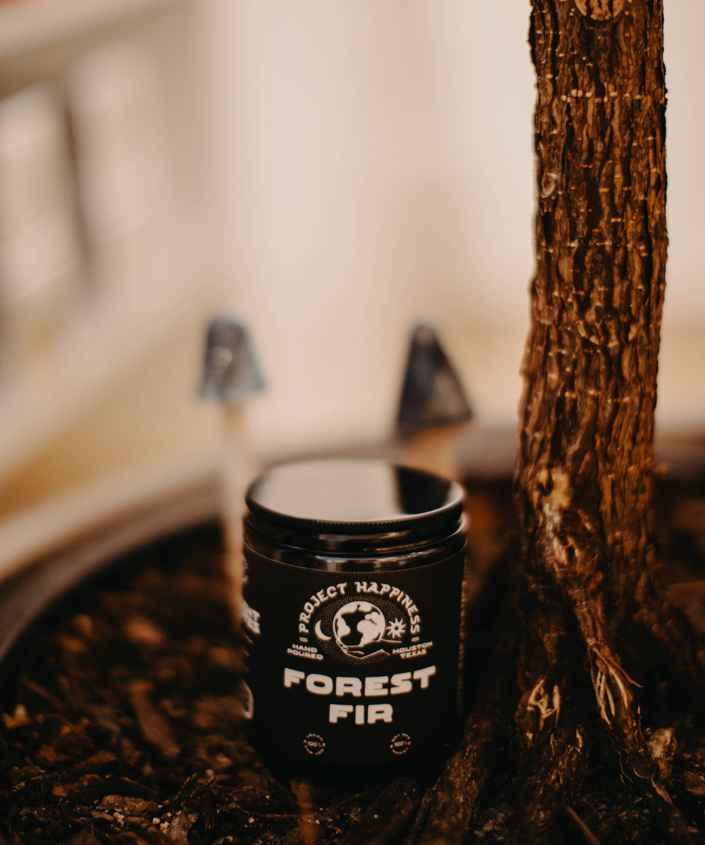 Forest Fir