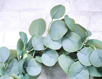 20" Eucalyptus Wreath