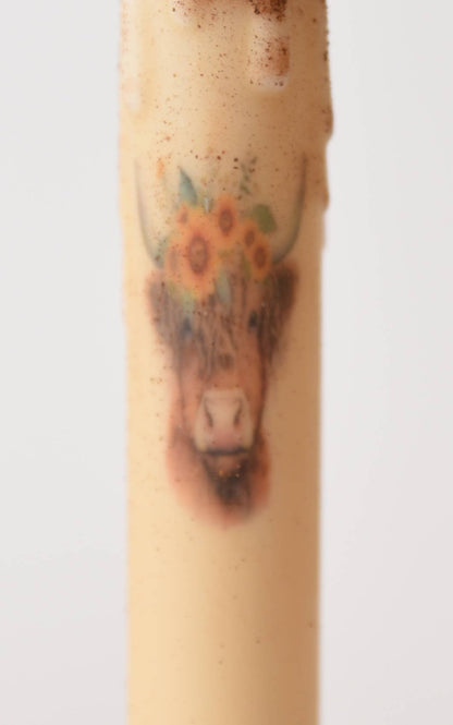 Highlander Cow w/Flowers  LED Timer, square iron base