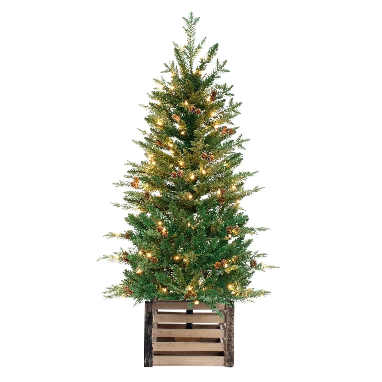 4 Foot Christmas Pre-Lit Asheville Fir Potted Tree