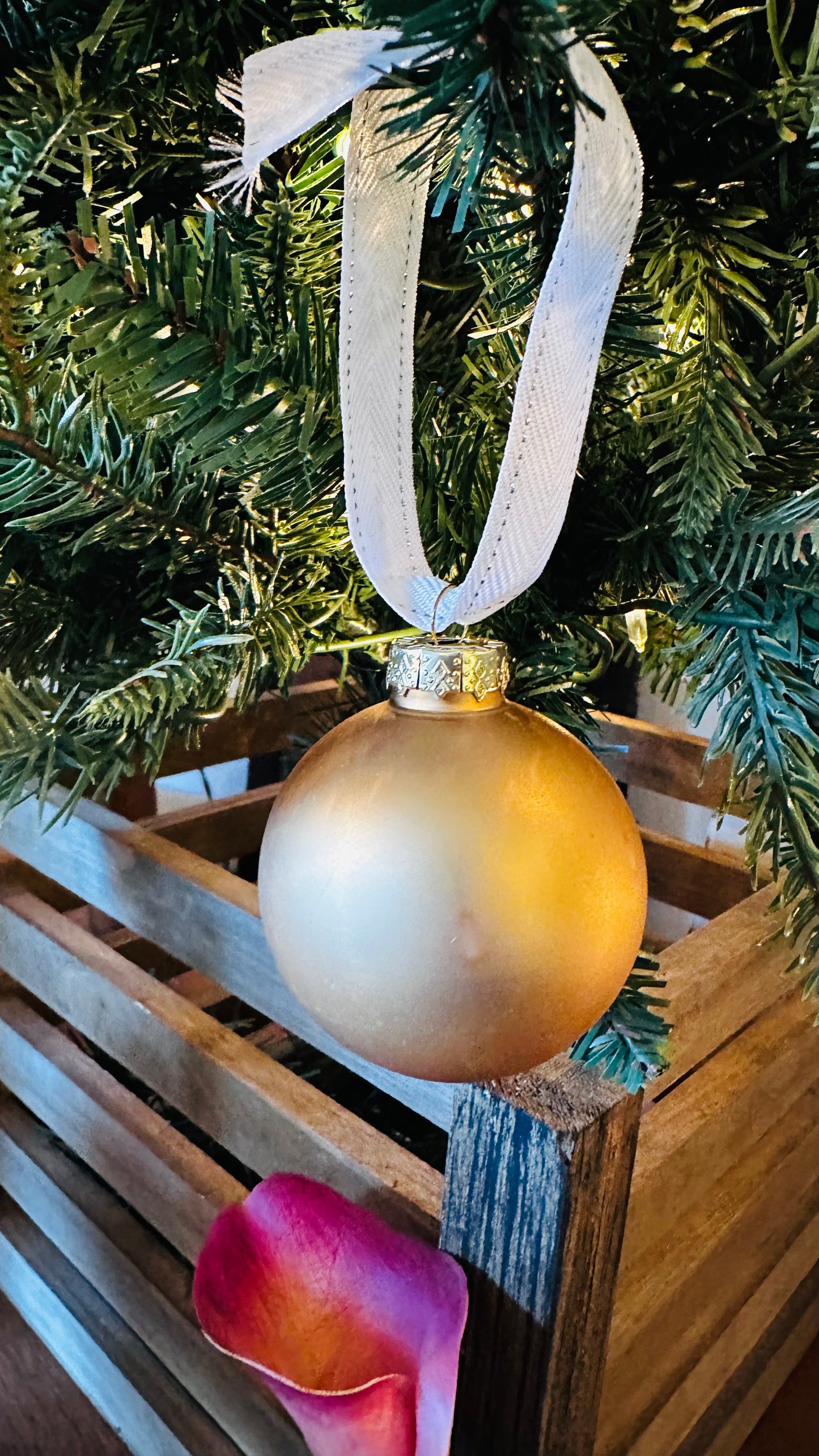 Solid Ornament w/Ribbon